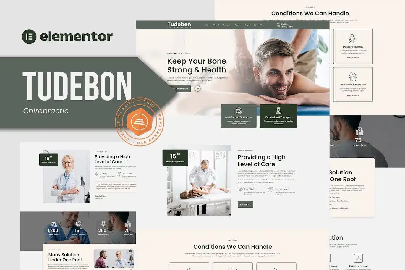 Tudebon Chiropractic & Physiotherapy Elementor Template Kit