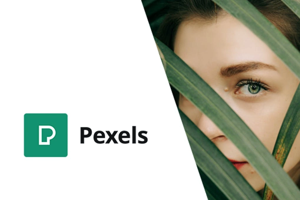 Pexels - Import High-Quality Images into WordPress